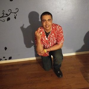 Meet your Posher, Silvy